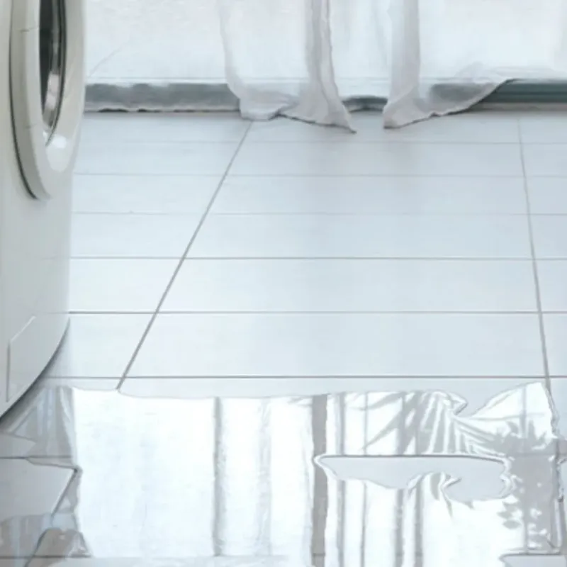 Appliance Leak Cleanup in Wilson, NC