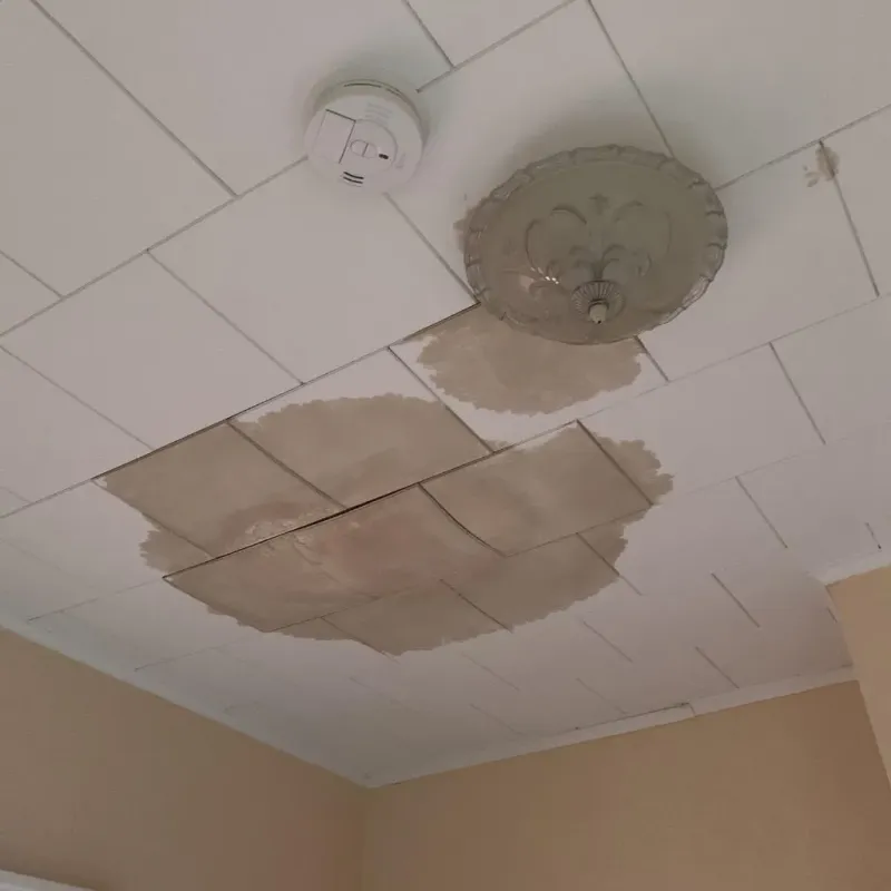 Ceiling Water Damage Repair in Wilson, NC