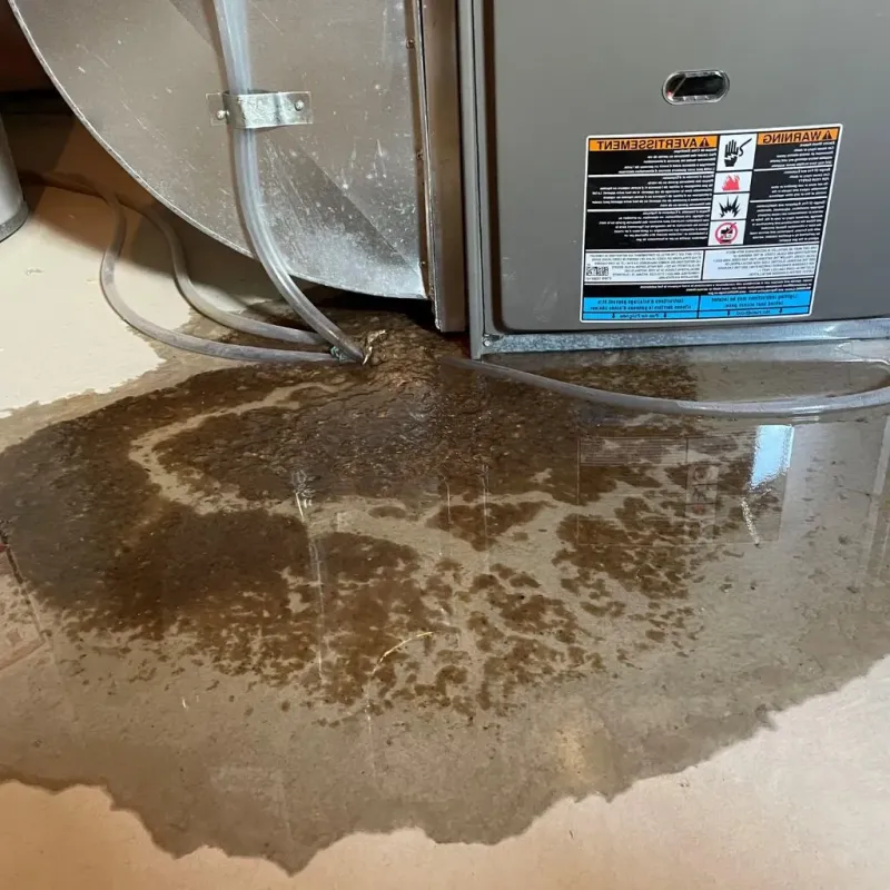 Pipe Burst and Leak Restoration in Wilson, NC