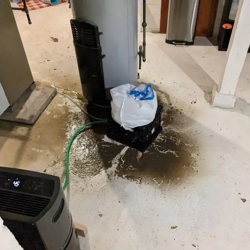 Sewage Backup Cleanup Service in Wilson, NC